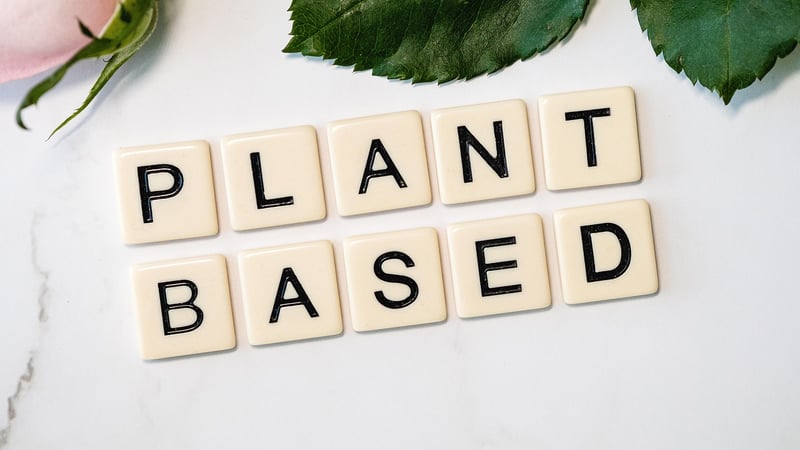 Plant-based Art Exhibits